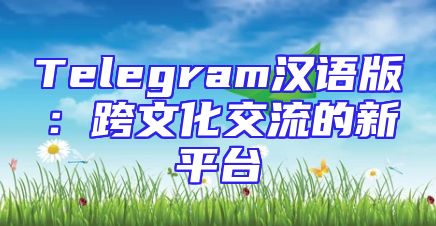 Telegram汉语版：跨文化交流的新平台