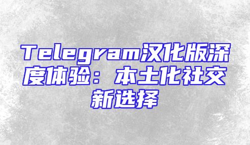 Telegram汉化版深度体验：本土化社交新选择