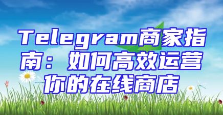 Telegram商家指南：如何高效运营你的在线商店