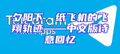 夕阳下，纸飞机的飞翔轨迹——中文版诗意回忆