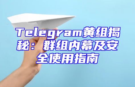 Telegram黄组揭秘：群组内幕及安全使用指南