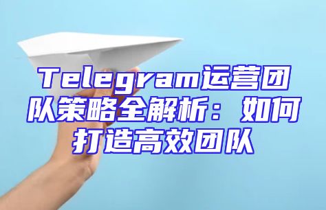 Telegram运营团队策略全解析：如何打造高效团队