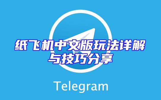 纸飞机中文版玩法详解与技巧分享
