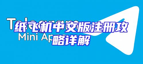 纸飞机中文版注册攻略详解