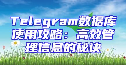 Telegram数据库使用攻略：高效管理信息的秘诀