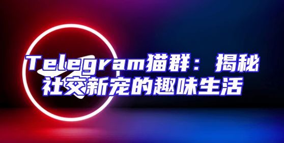 Telegram猫群：揭秘社交新宠的趣味生活