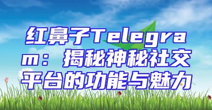 红鼻子Telegram：揭秘神秘社交平台的功能与魅力