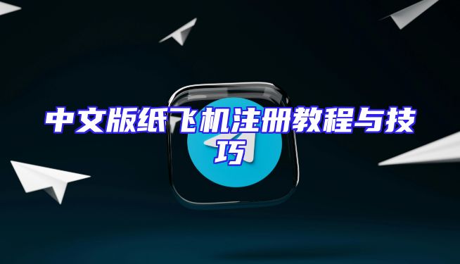 中文版纸飞机注册教程与技巧