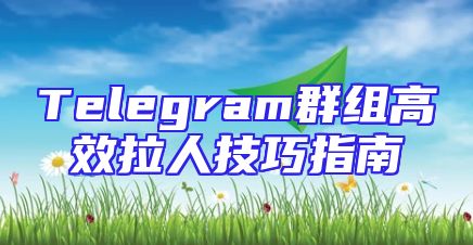 Telegram群组高效拉人技巧指南