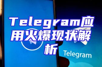 Telegram应用火爆现状解析