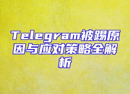 Telegram被踢原因与应对策略全解析
