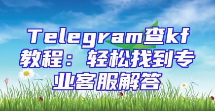 Telegram查kf教程：轻松找到专业客服解答