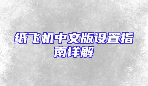 纸飞机中文版设置指南详解