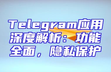 Telegram应用深度解析：功能全面，隐私保护