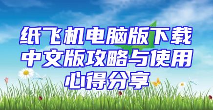 纸飞机电脑版下载中文版攻略与使用心得分享