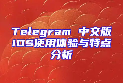 Telegram 中文版iOS使用体验与特点分析