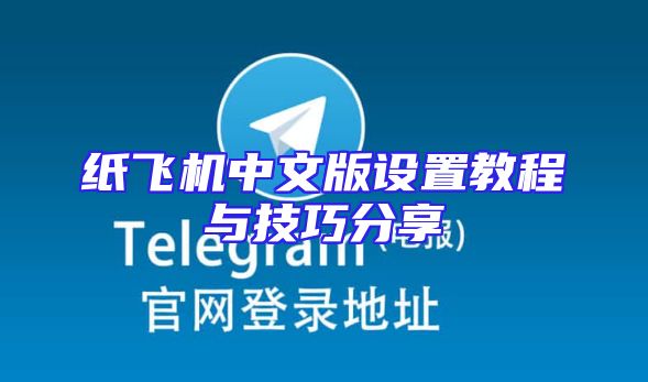 纸飞机中文版设置教程与技巧分享