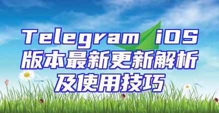 Telegram iOS版本最新更新解析及使用技巧