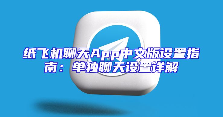 纸飞机聊天App中文版设置指南：单独聊天设置详解