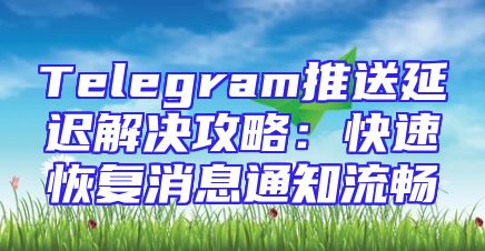 Telegram推送延迟解决攻略：快速恢复消息通知流畅