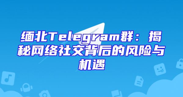 缅北Telegram群：揭秘网络社交背后的风险与机遇