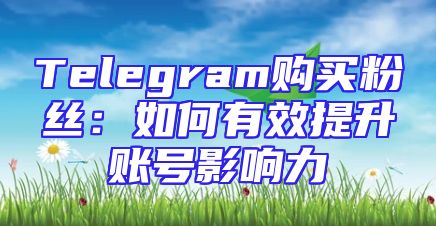 Telegram购买粉丝：如何有效提升账号影响力
