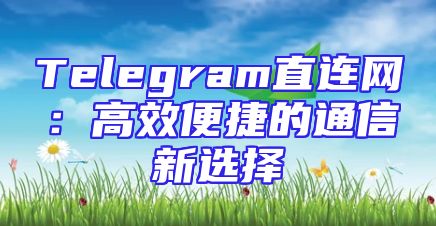 Telegram直连网：高效便捷的通信新选择