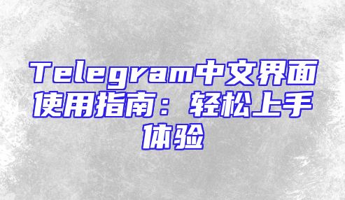 Telegram中文界面使用指南：轻松上手体验