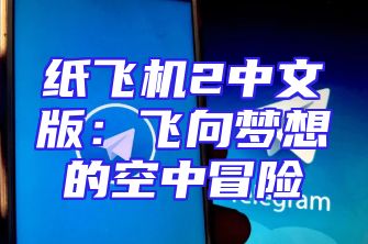 纸飞机2中文版：飞向梦想的空中冒险