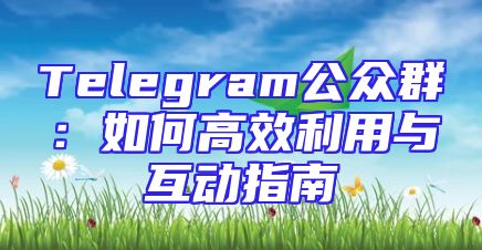 Telegram公众群：如何高效利用与互动指南