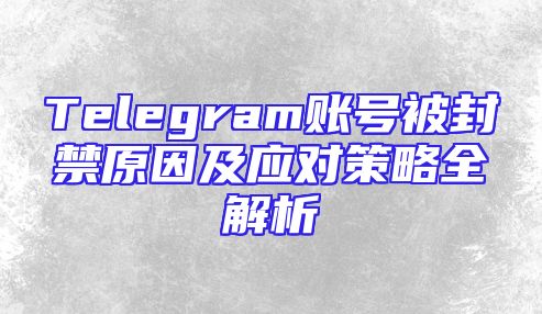 Telegram账号被封禁原因及应对策略全解析