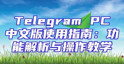 Telegram PC中文版使用指南：功能解析与操作教学