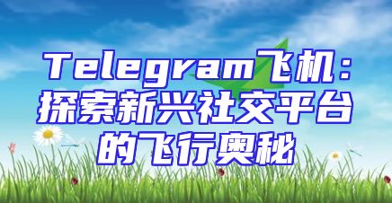 Telegram飞机：探索新兴社交平台的飞行奥秘
