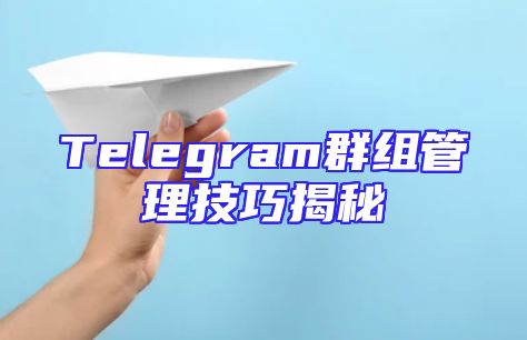 Telegram群组管理技巧揭秘