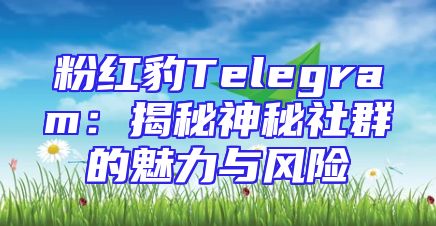 粉红豹Telegram：揭秘神秘社群的魅力与风险