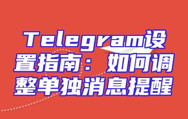 Telegram设置指南：如何调整单独消息提醒