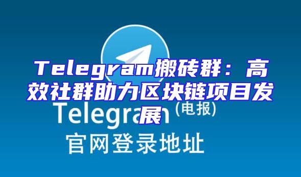 Telegram搬砖群：高效社群助力区块链项目发展