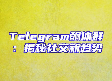 Telegram酮体群：揭秘社交新趋势
