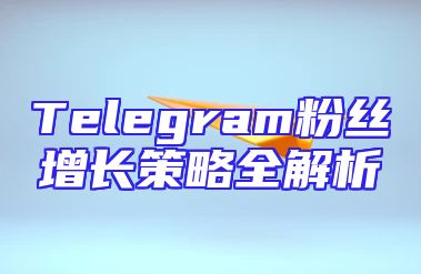 Telegram粉丝增长策略全解析