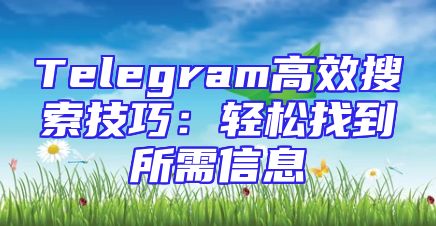 Telegram高效搜索技巧：轻松找到所需信息