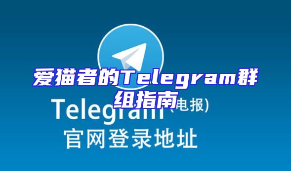 爱猫者的Telegram群组指南
