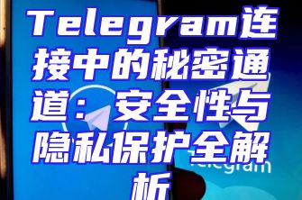 Telegram连接中的秘密通道：安全性与隐私保护全解析