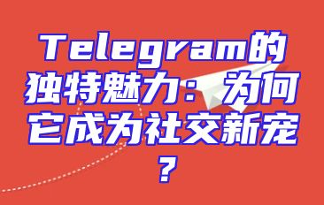 Telegram的独特魅力：为何它成为社交新宠？