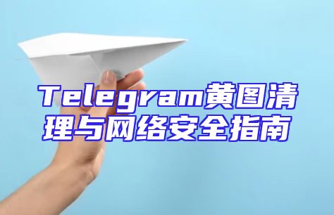 Telegram黄图清理与网络安全指南