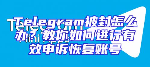 Telegram被封怎么办？教你如何进行有效申诉恢复账号