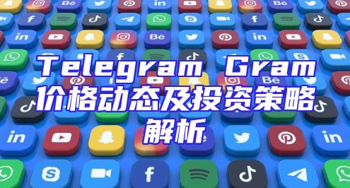 Telegram Gram价格动态及投资策略解析