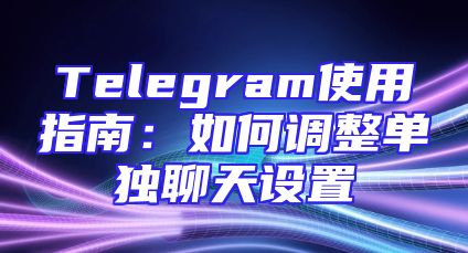 Telegram使用指南：如何调整单独聊天设置