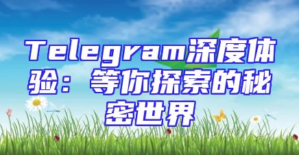Telegram深度体验：等你探索的秘密世界