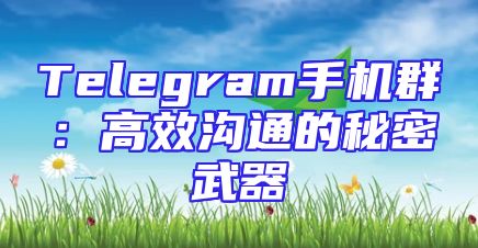 Telegram手机群：高效沟通的秘密武器