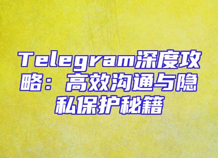 Telegram深度攻略：高效沟通与隐私保护秘籍